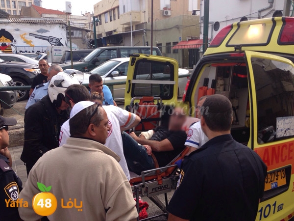 ta3n shejar 7sanbek (1).JPG